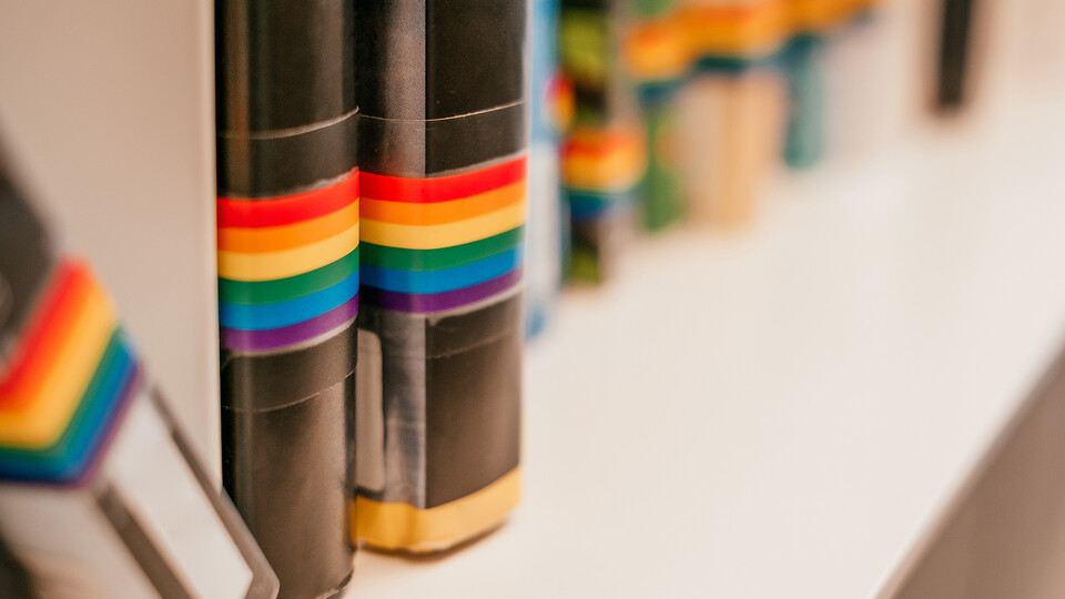 Book spines with rainbow stripes; links to news story