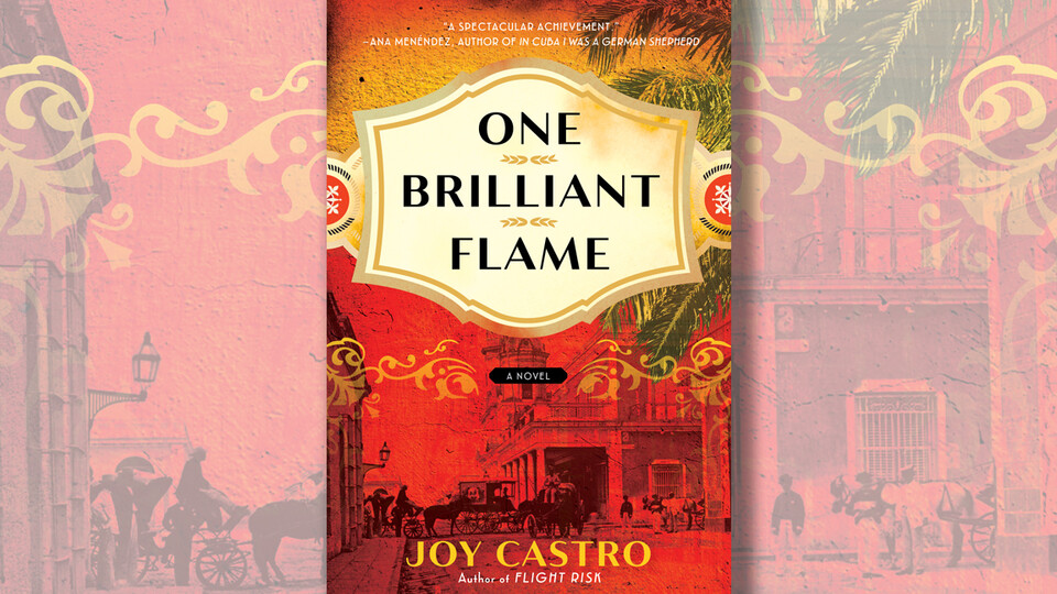 Cover of ONE BRILLIANT FLAME; links to news story