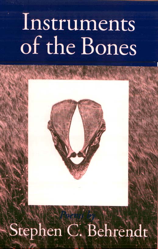 Cover image for Instruments of the Bones