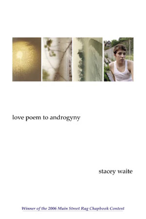 Cover image for Love Poem to Androgyny