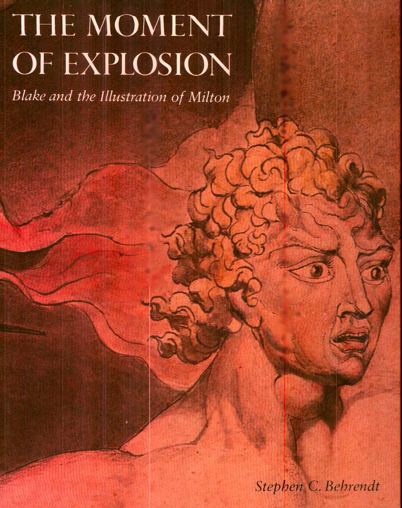 Cover image for The Moment of Explosion