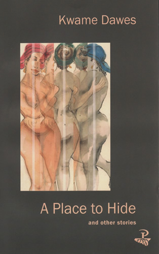 Cover image for A Place to Hide