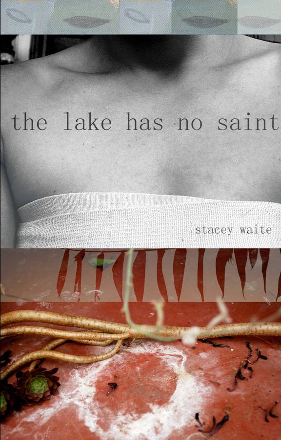 Cover image for the lake has no saint