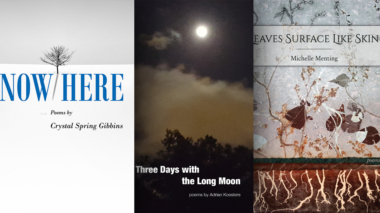 Covers of NowHere, Three Days with the Long Moon, and Leaves Surface Like Skin; links to news story