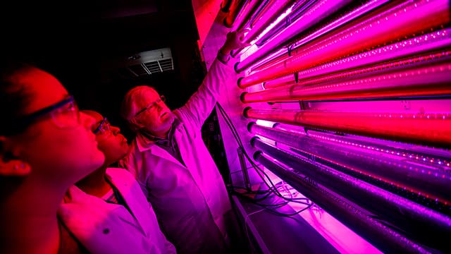 Biochemist professor points to tubes of water illuminated with red and purple light, and discusses with two students.