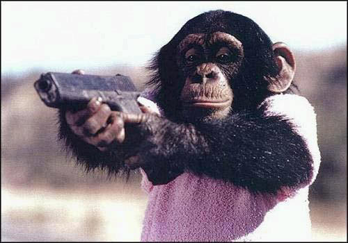   -  4 Chimpanzee-glock