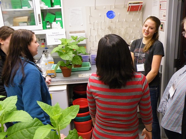 February, 2014. Kate Lagerstrom, undergraduate student worker from Jim Alfano’s lab, instructing a group at the Women in Science Conference.