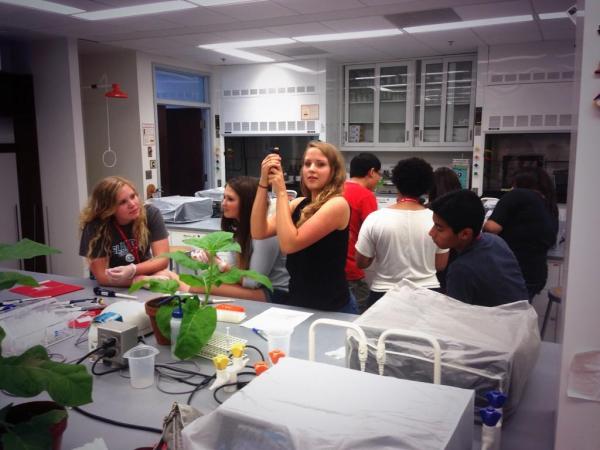 July, 2014. Undergraduate student Kate Lagerstrom helping out with a plant science camp for high school students at UNL.