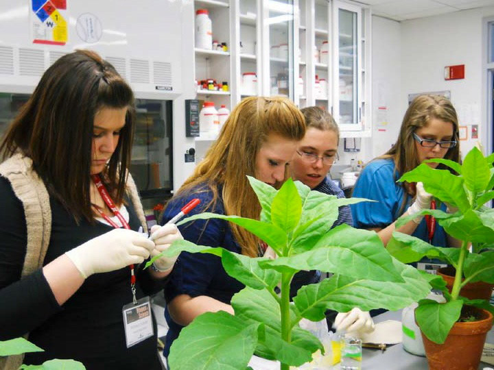 Anna Block (3rd from the left) showing how to do a plant assay.