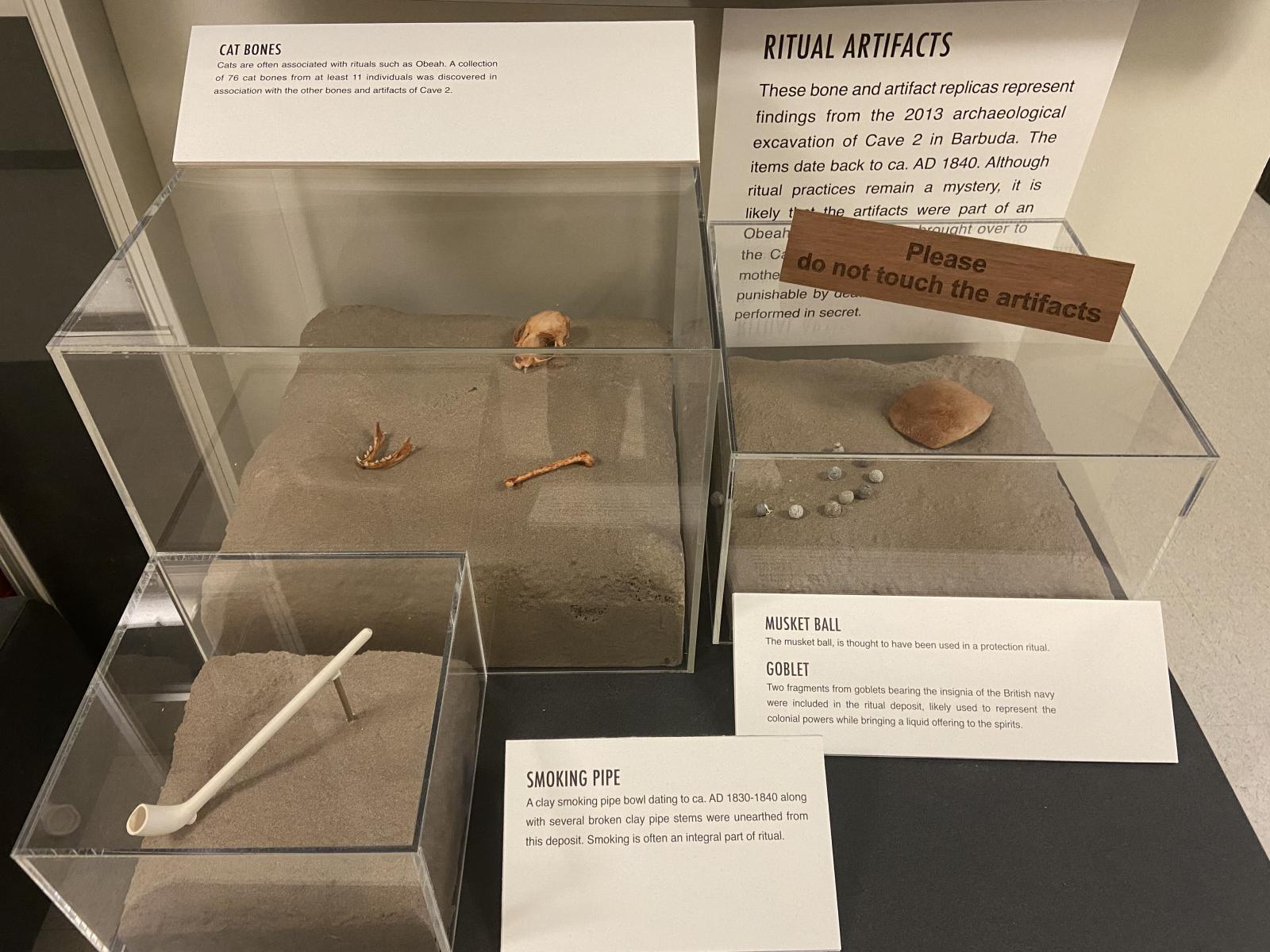 cat bones, pipe, clay fragments, and musket ball replicas in glass cases