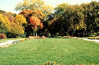 Maxwell Arboretum in Fall