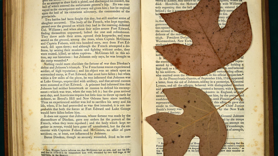 Leaves pressed in a book that belonged to Walt Whitman; links to news story