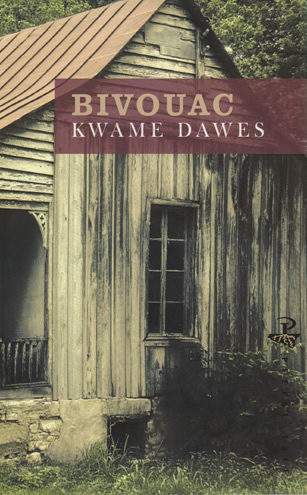 Cover image for Bivouac