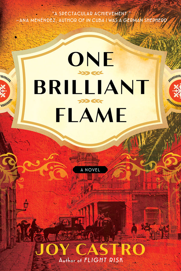 Cover image for One Brilliant Flame