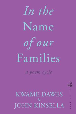 Cover image for In the Name of Our Families