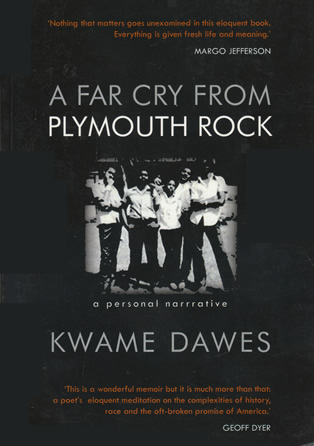 Cover image for A Far Cry from Plymouth Rock
