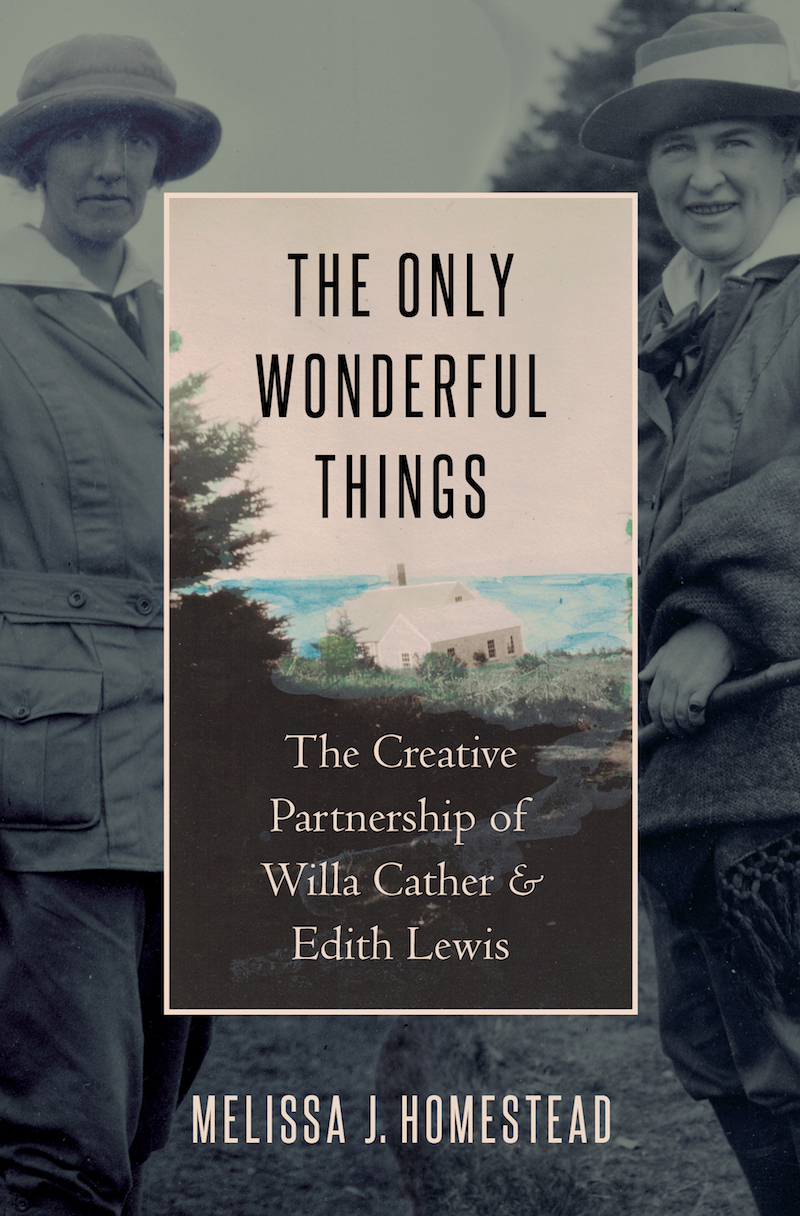 Cover image for The Only Wonderful Things