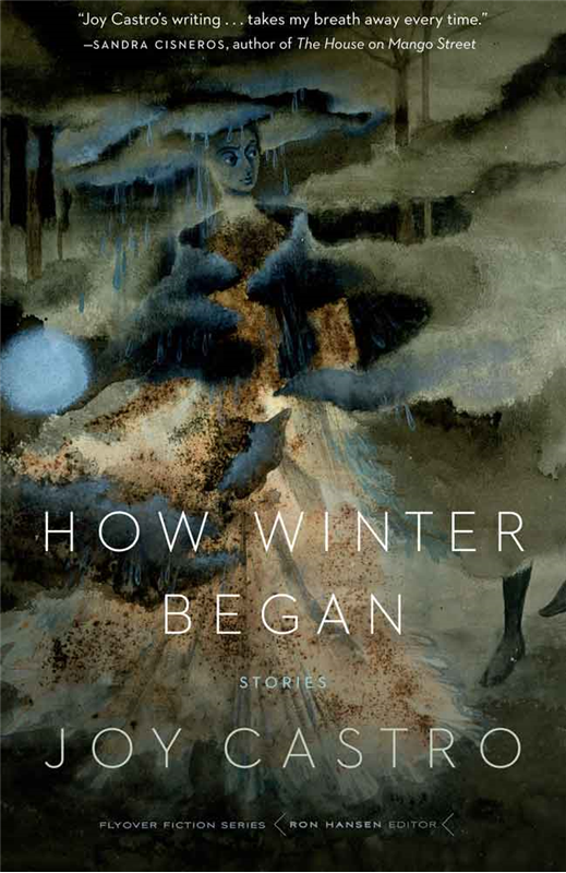 Cover image for How Winter Began