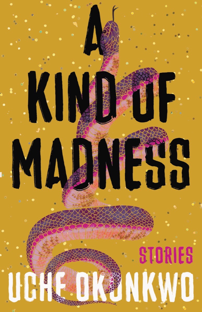 Cover of A KIND OF MADNESS
