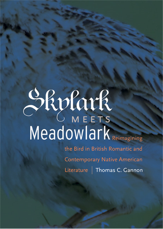 Cover image for Skylark Meets Meadowlark