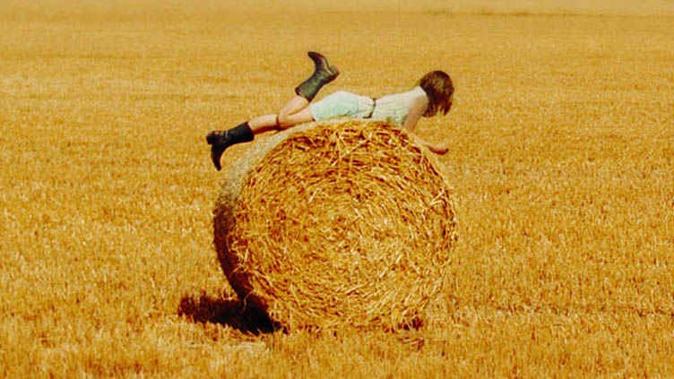 Image of girl on a haystack from the cover of The Miseducation of Cameron Post