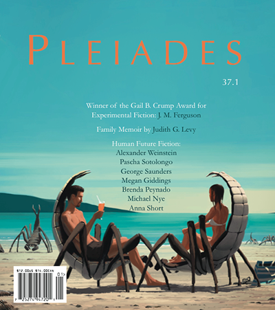 Cover of PLEAIDES Issue 31 with a man and woman lounging in bug-shaped chairs at the beach