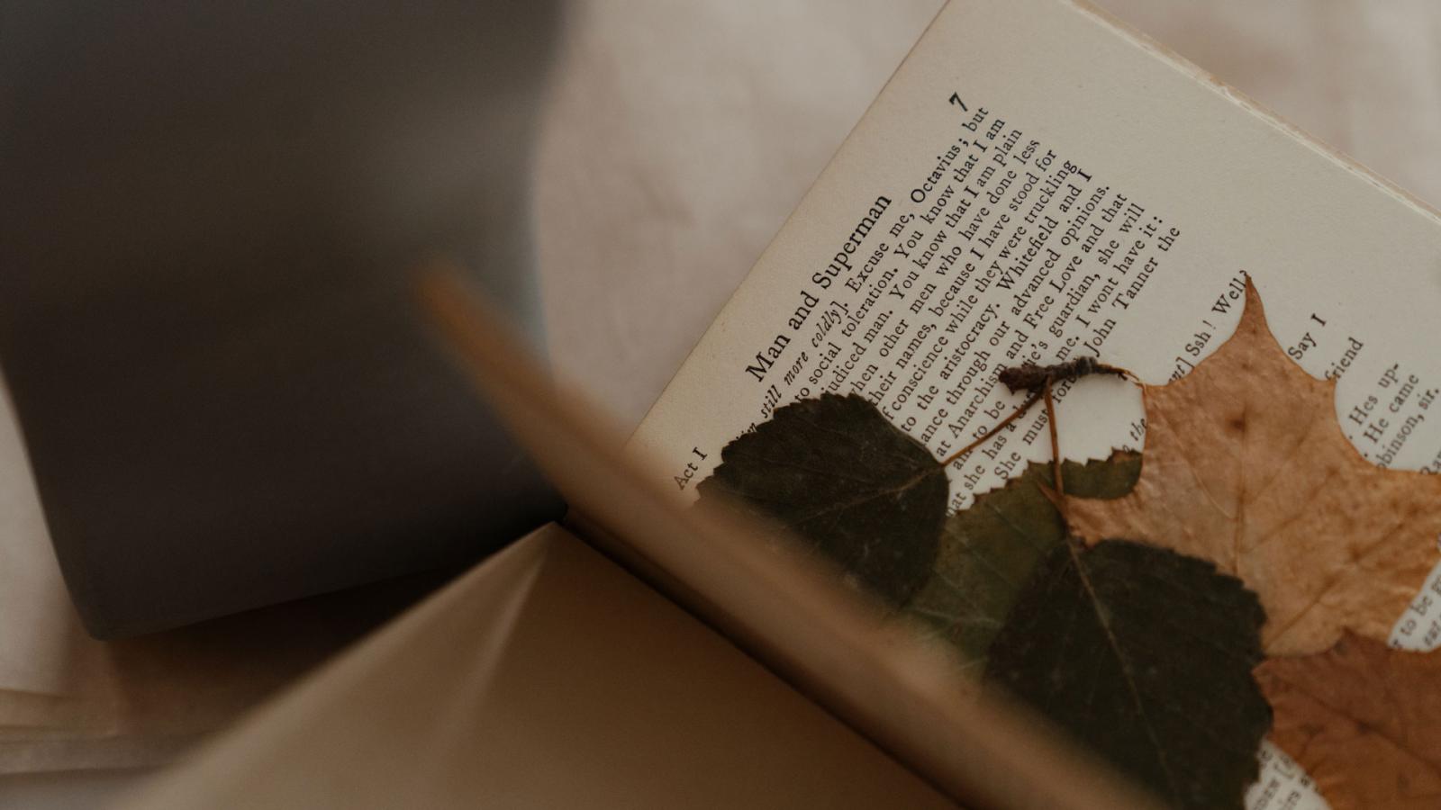 Book with pressed leaves