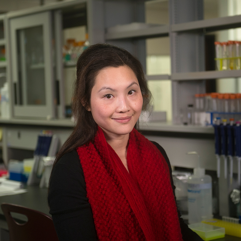 Rebecca Lai in the Lab
