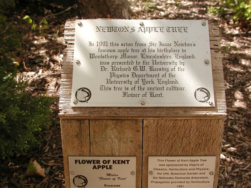 Newton Apple Tree sign with inscription