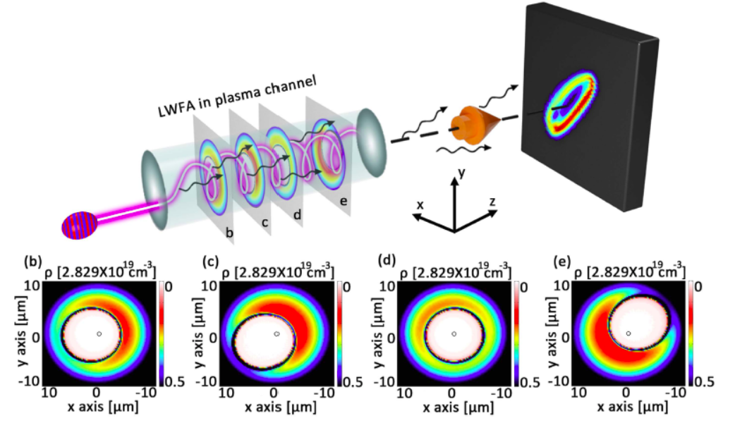 A LWFA and plasma based compact radiation source