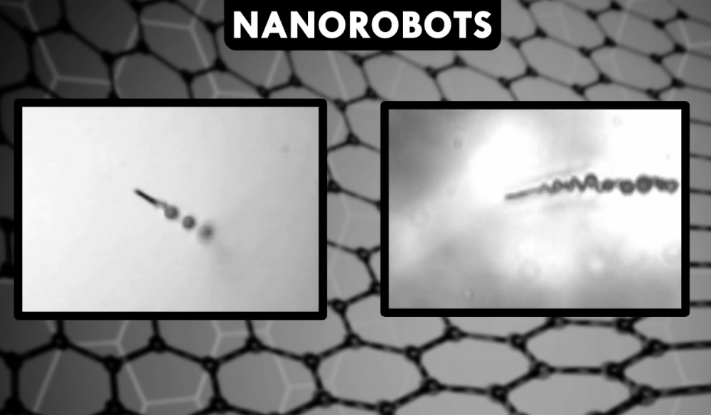 The World's Smallest Robots: Rise of the Nanomachines