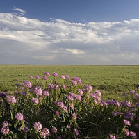 Great Plains Landscape Conservation Cooperative