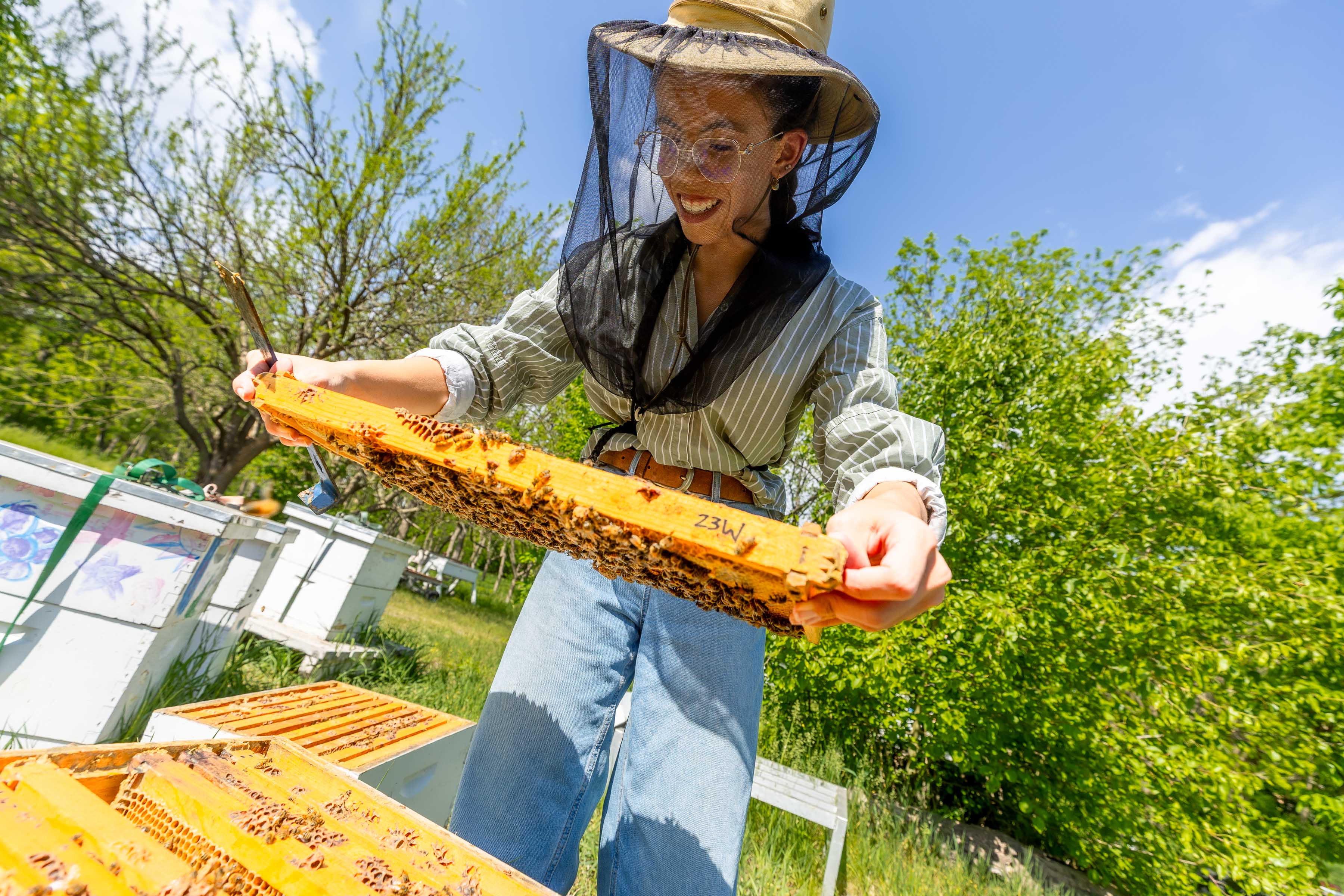 Person in beekeeping gear holding a honeycomb frame, surrounded by greenery.
