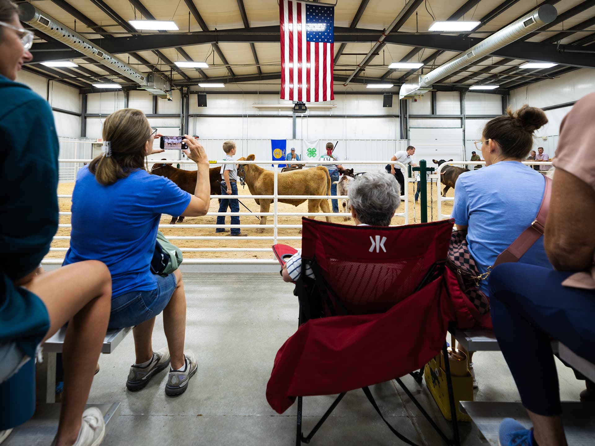 Spectators watch a livestock show in a barn, with cattle and handlers under an American flag.