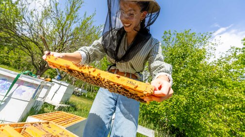 Person in beekeeping gear holding a honeycomb frame, surrounded by greenery.