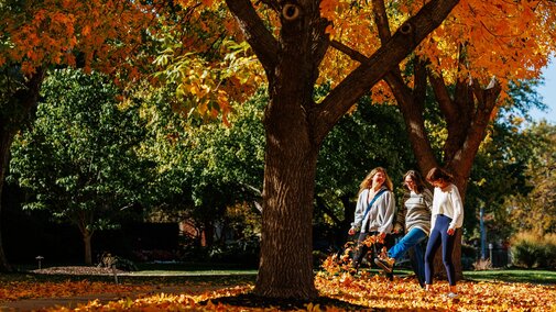 Students kick up yellow leaves as they walk on campus