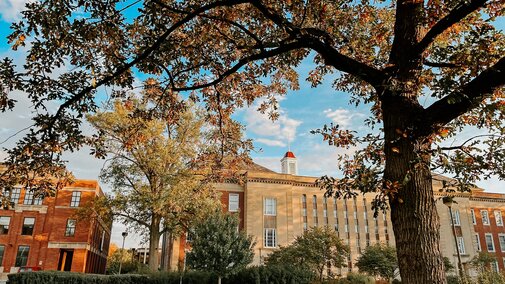 The rising sun shines on fall trees as Love Library peeks out between branches