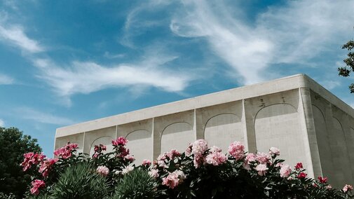 Pink flowers bloom in front of Sheldon Museum of Art on a sunny summer day