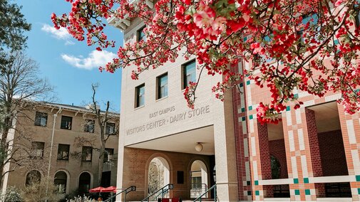 A pink flowering tree frames the entrance to the East Campus Dairy Store