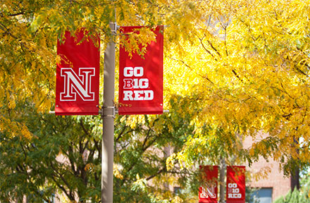 Trees with yellow leaves surrounding a red Go Big Red banner