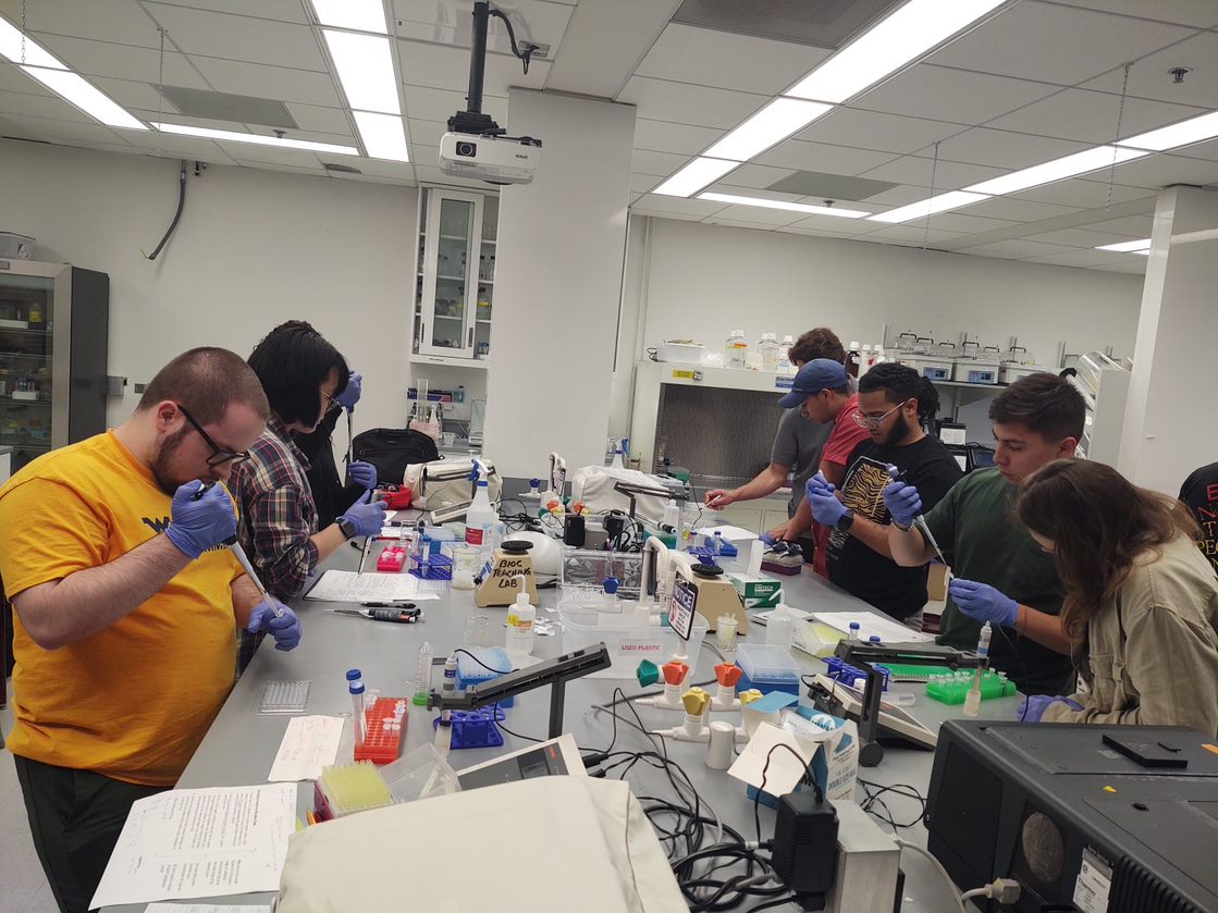 REU students working in the lab.