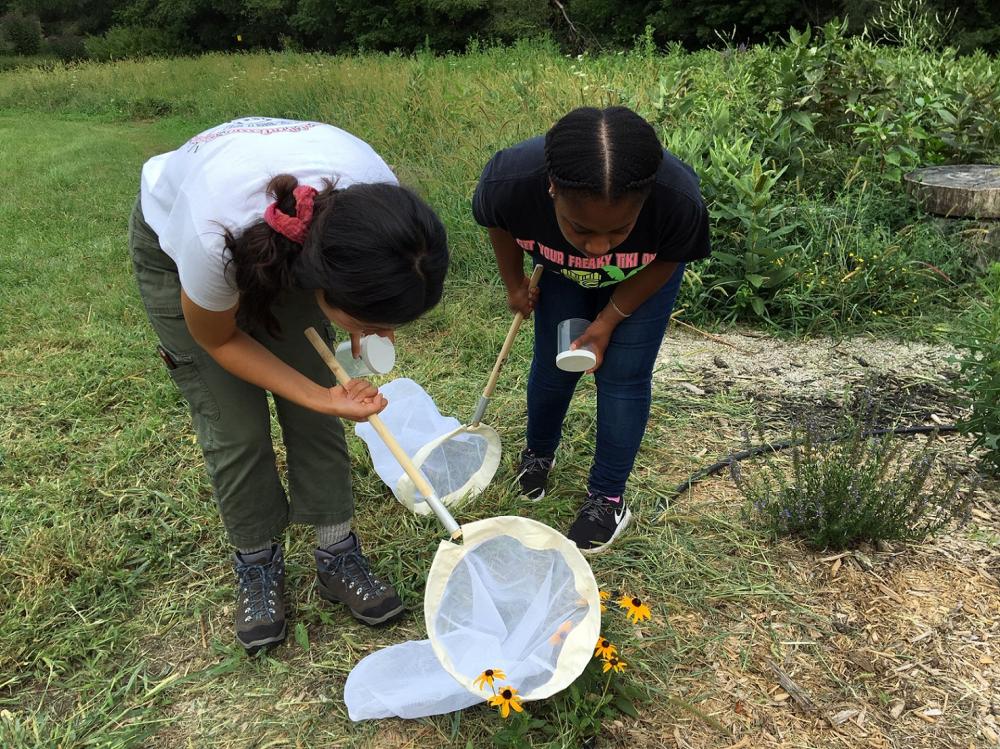 2019 REEU students work in the field.