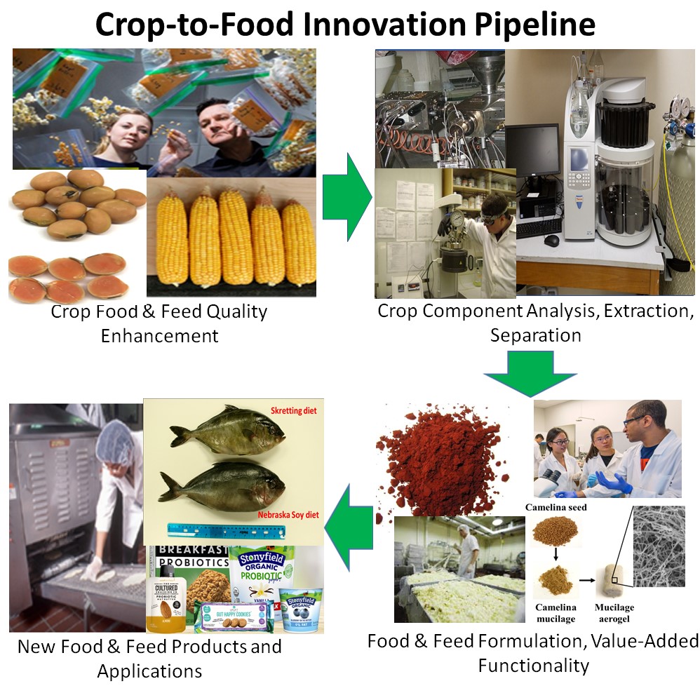 Crop-to-Food Innovation Pipeline