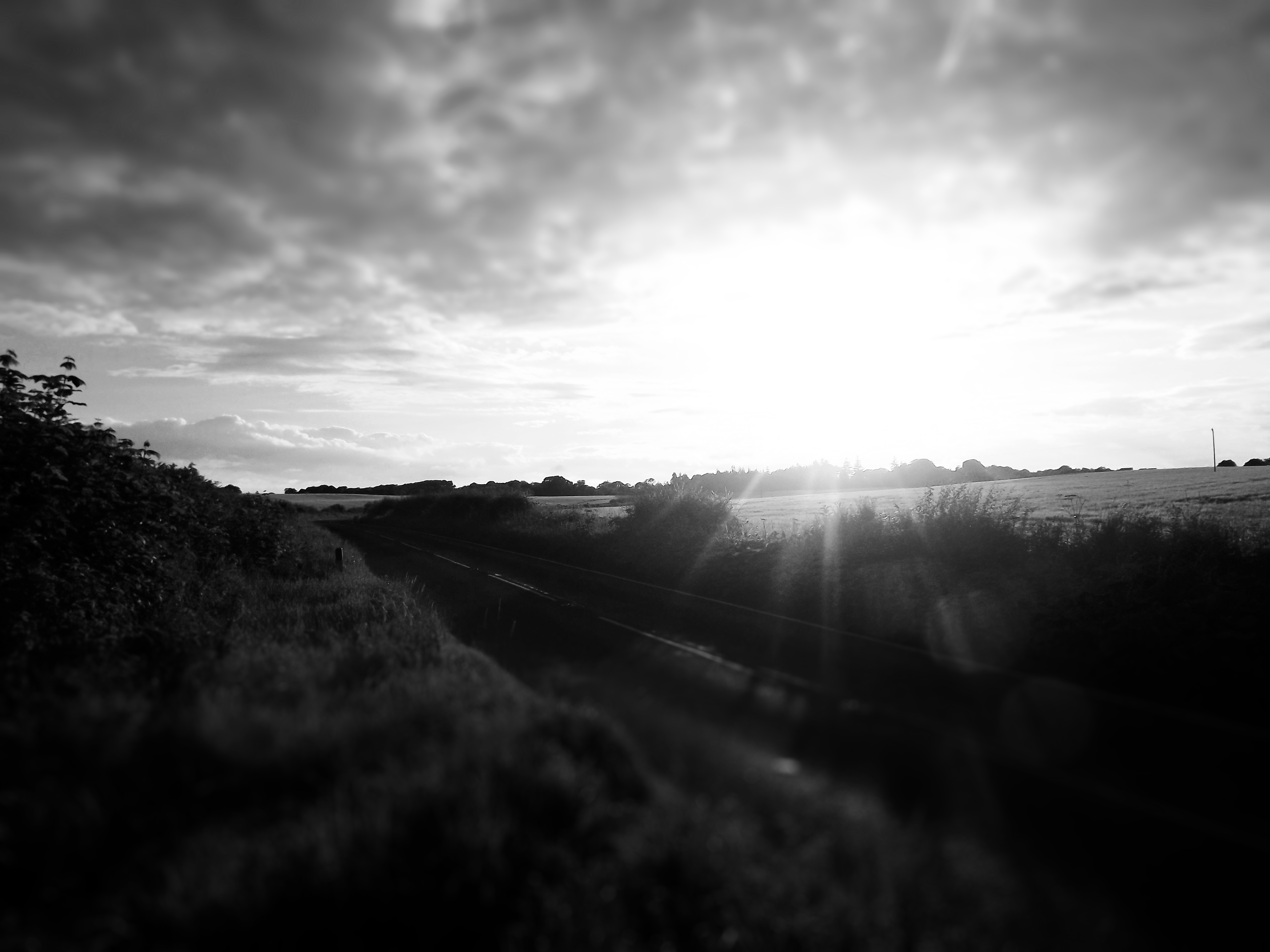 Black and white sunset