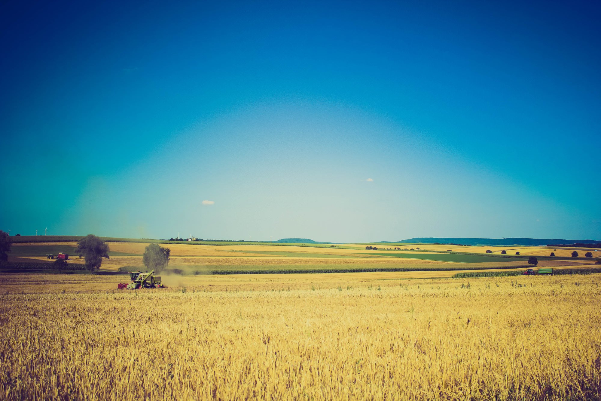 Tractor in a field